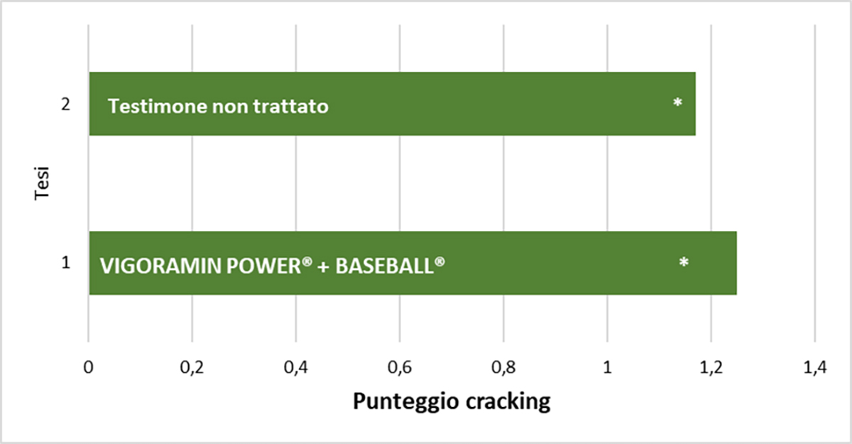 Incidenza cracking. Punteggio 1: 5% di danno; punteggio 2: 15% di danno; punteggio 3: 30% di danno